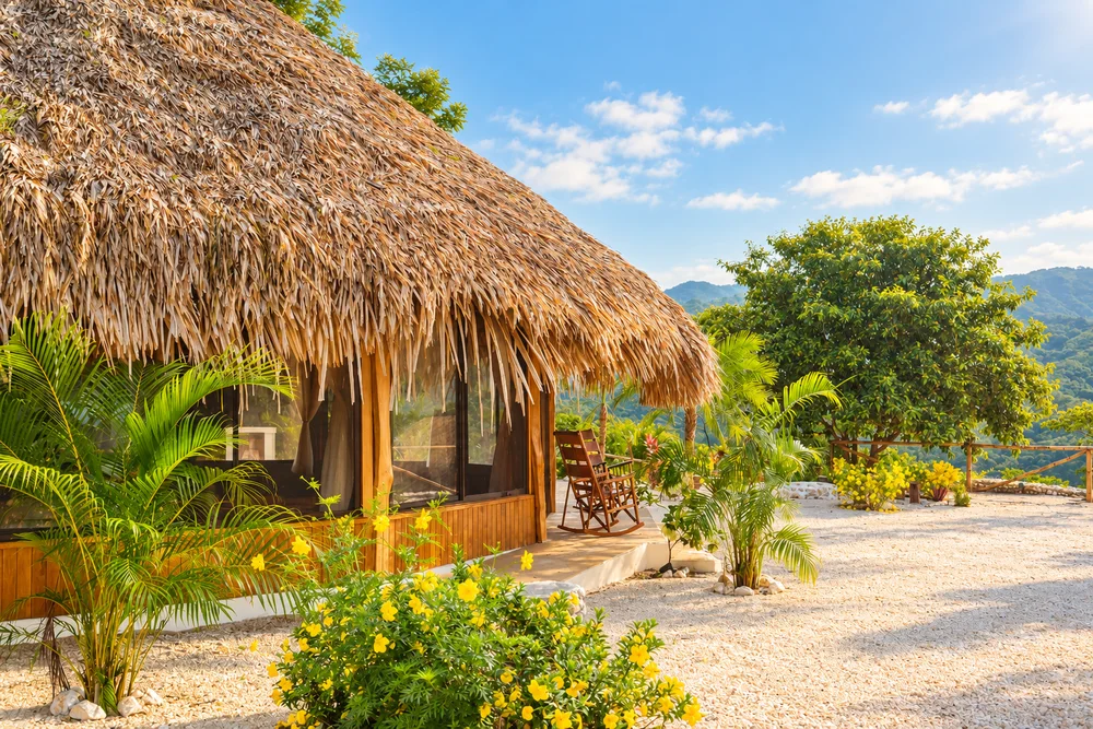 Sunny thatched retreat cabin surrounded by tropical landscaping